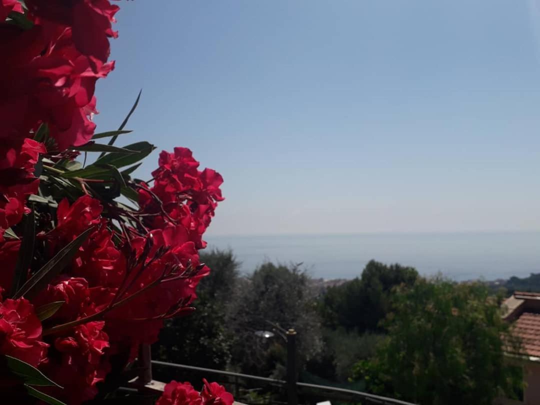 Bed and Breakfast Il Porto Di Benny à Alassio Extérieur photo